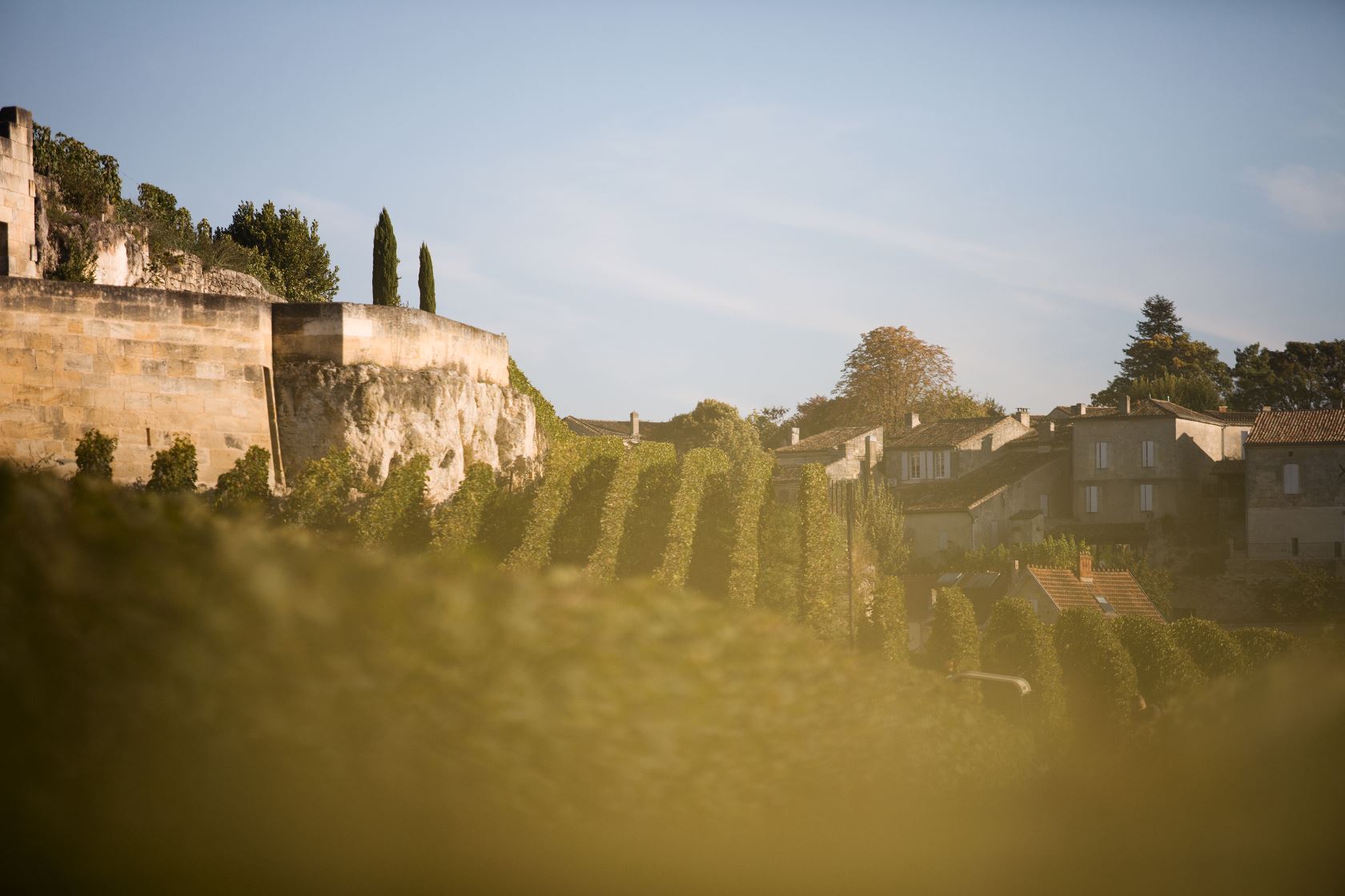 Coteaux Saint-Emilion