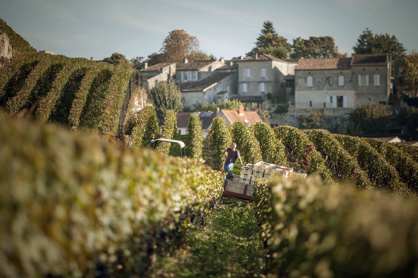 Coteaux Ausone Saint-Emilion