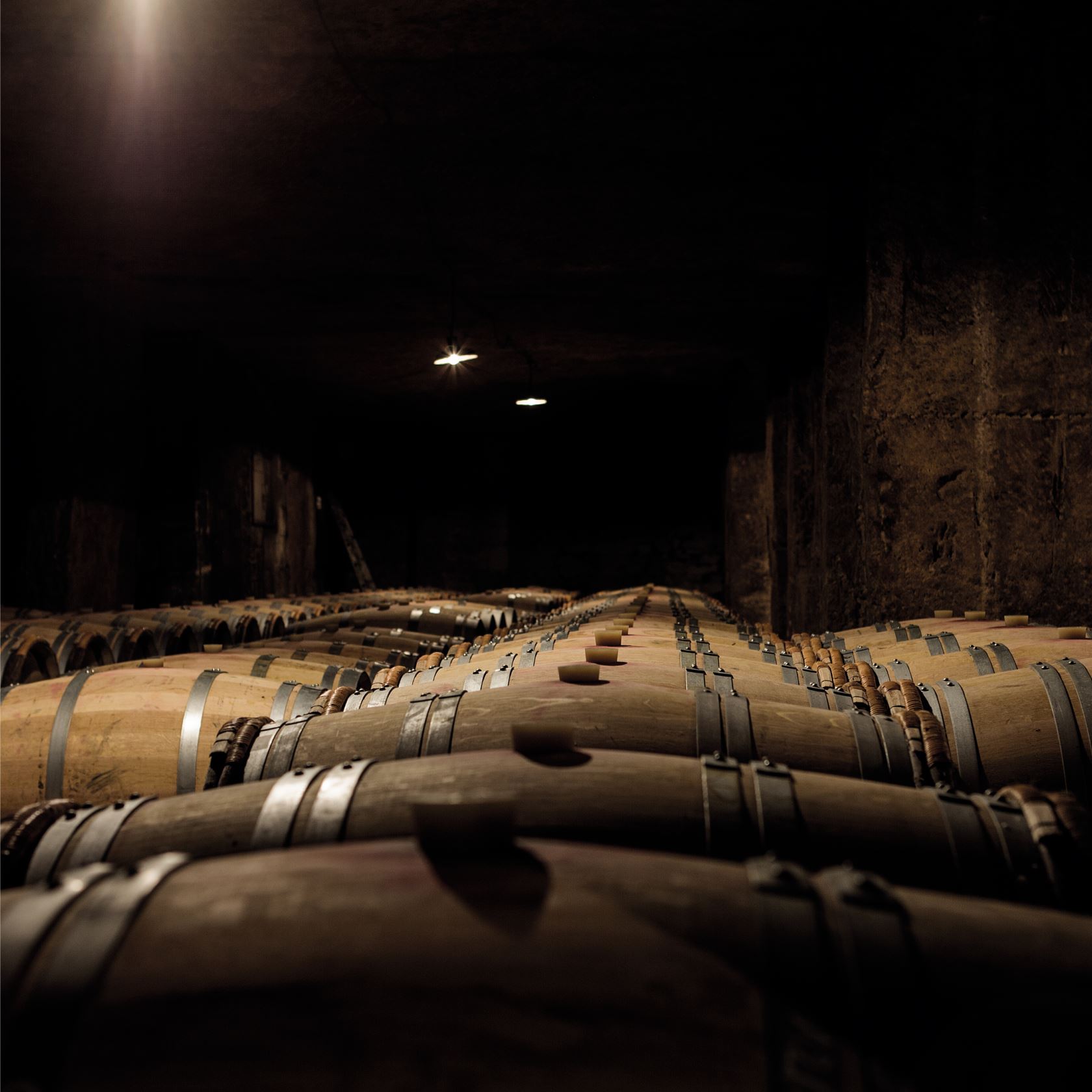 Cave barriques chateau Ausone